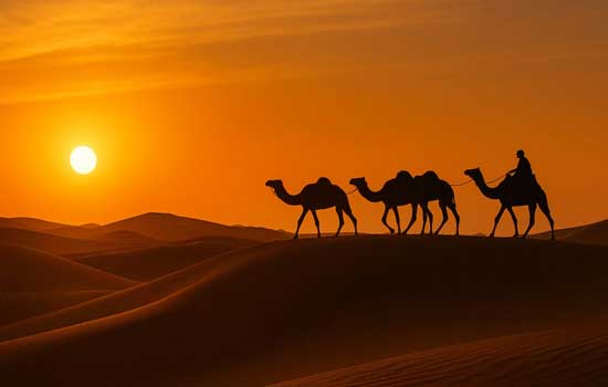 Jaisalmer desert tour package