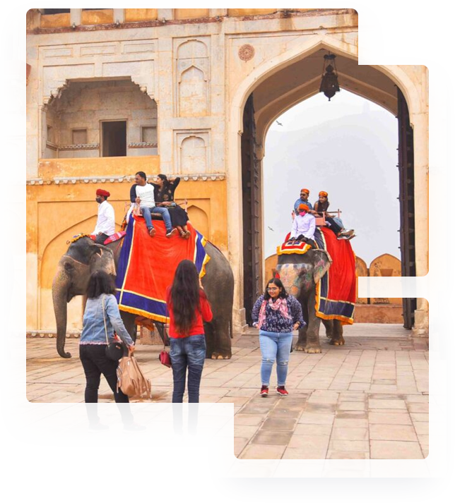 Rajasthan DMC