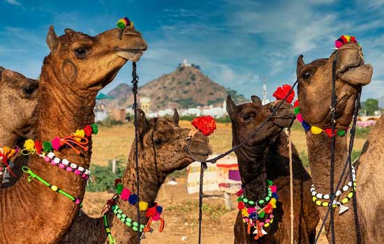 Pushkar destination